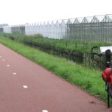 0609F 08 Hoek van Holland